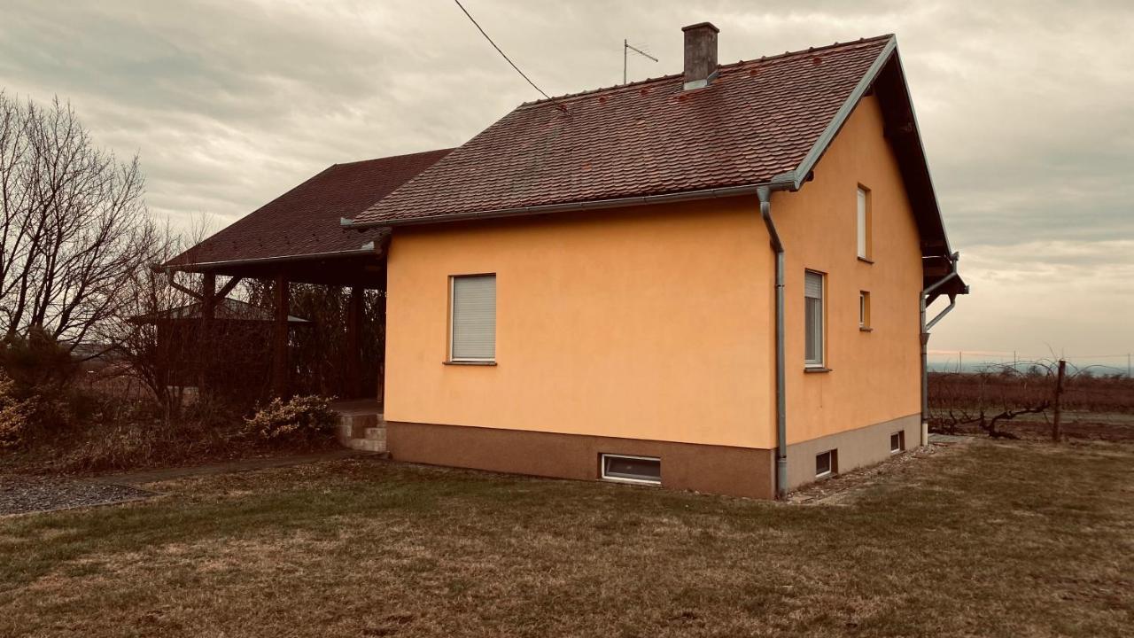 Kuca Za Odmor Brzica Erdutヴィラ エクステリア 写真